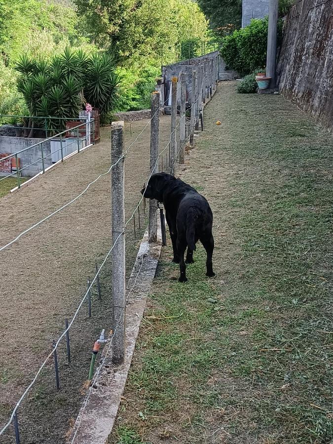 Villa Da Ange E Bru à Sestri Levante Extérieur photo